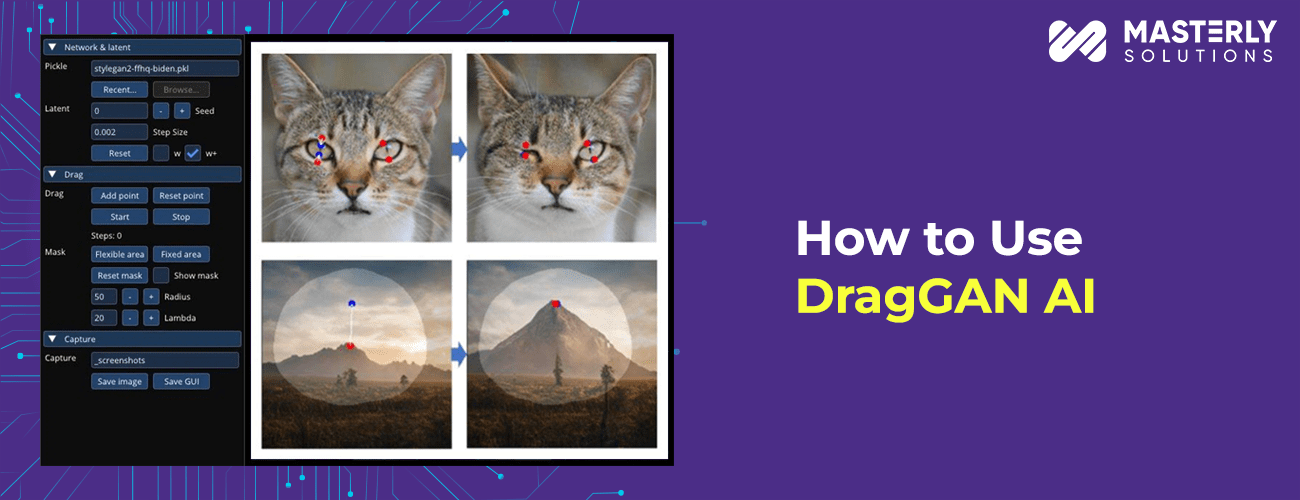 how-to-use-draggan-ai-tool