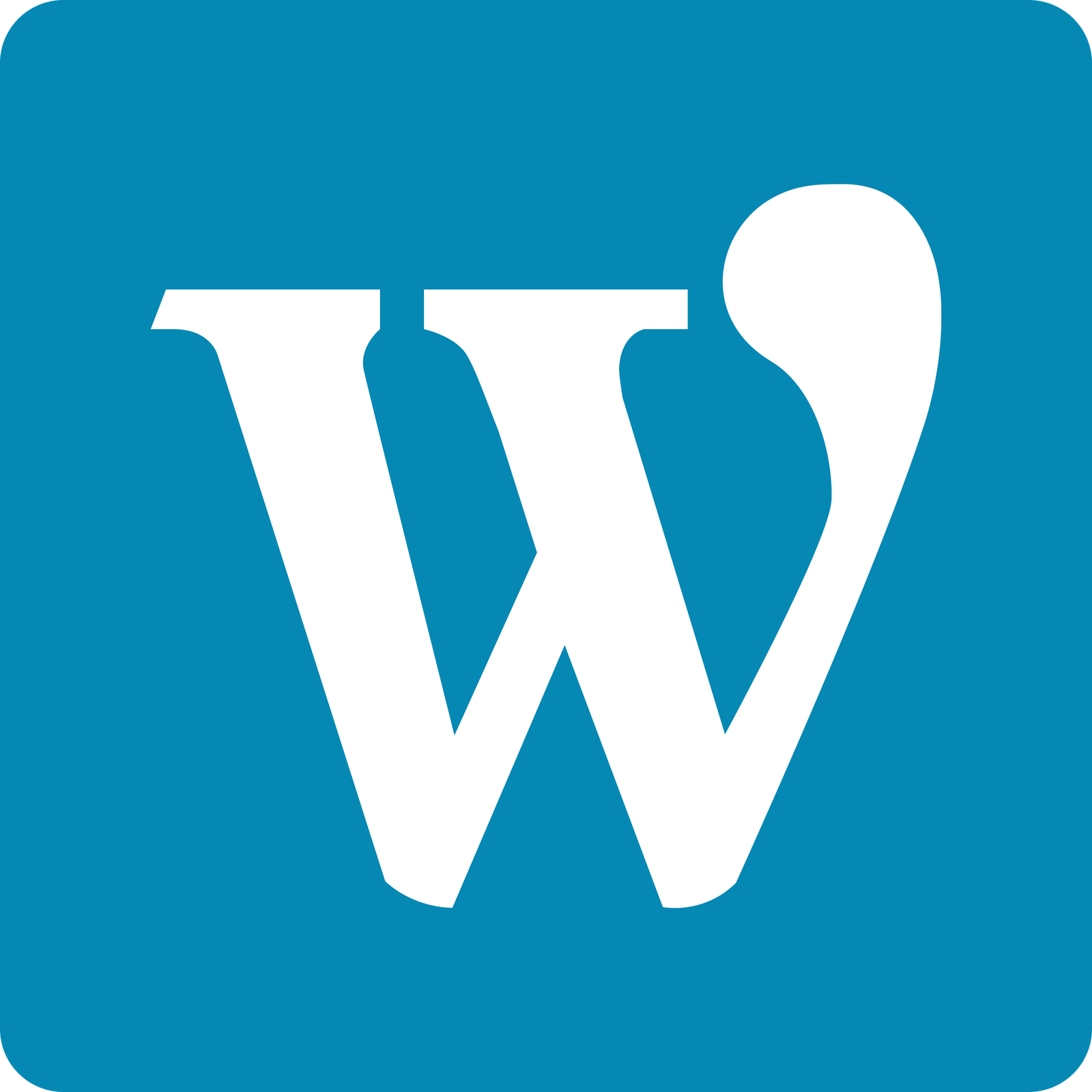 WordPress